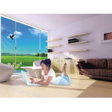 Max View Thinner Frames Double vitrage Aluminium Portes